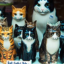 Katzen im Schaufenster