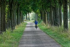 Gaby auf Radweg bei Schengen