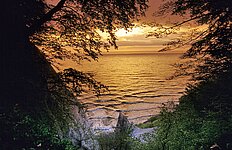 Kreidefelsen am Königsstuhl