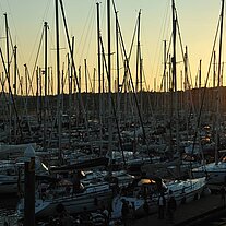 im Yachthafen von Vlieland