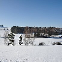 Der Kusch bei Atzmannsberg