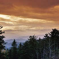 Blick in den Böhmerwald
