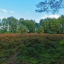 Heide am Aller Fernradweg