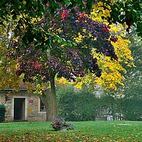 im Burghof der Creuzburg