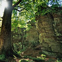 der Räuberfelsen im Gegenlicht