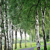 Gaby mit dem Fahrrad in der Birkenallee