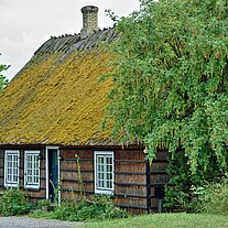 Reethaus mit bemoostem Dach