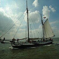 die Zwadde im Gegenlicht