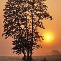 Sonnenaufgang bei Kemnath