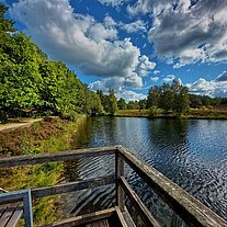 Aussichtspunkt am Angelbecksteich