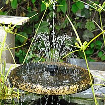 kleiner Springbrunnen