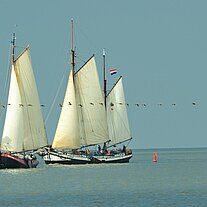 Vögel kreuzen unsere Verfolger