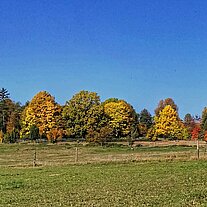 Indian Summer bei Thumsenreuth