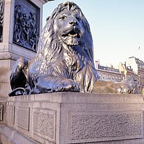 Löwe an der Nelsons Column