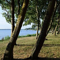 Strand am Bodden von Wiek