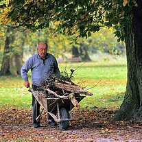 alter Mann mit Holz im Schubkarrn
