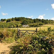 Weide mit Haus im Hintergrund