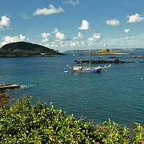 die Zephyr an den Rosaire Steps