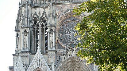 Kathedrale mit Baum davor