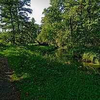 Weg an der Malxe zum Waldhotel Eiche