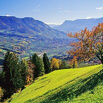 Blick von den Mutlechner Höfen nach Meran