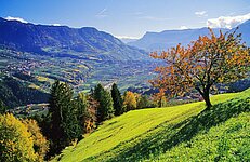 Blick von den Mutlechner Höfen nach Meran