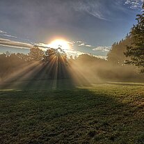 Sonnenaufgang an der Hainbachaue