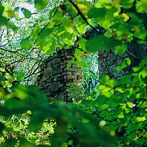 Hausruine in den Bäumen
