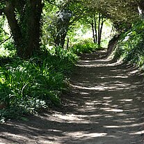 Weg von der Belvoir Bay