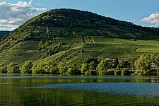 Weinberg an der Mosel