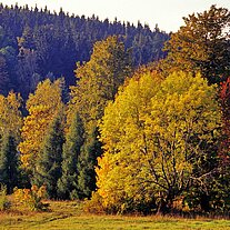 Kapelle am Annaberg mit Herbstbäumen
